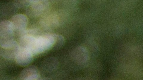 caso Debanhi Escobar