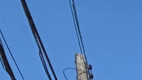 La tormenta Ida dejó cientos de familias en la calle, el año pasado