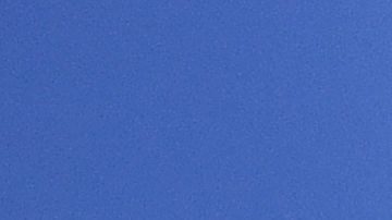 Conmebol eleva las multas por actos de discriminación