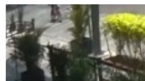 Andro Nava pierde olfato y gusto (1)