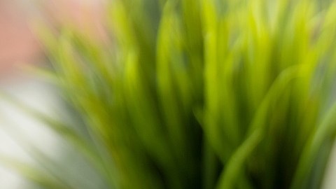 Aplicaciones de entrega de alimentos