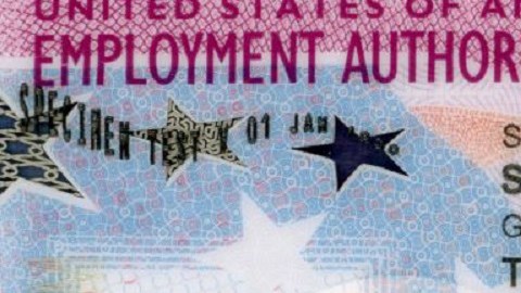 USCIS amplió la validez de permisos laborales expirados.