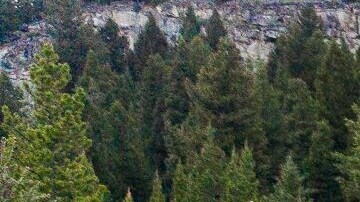 Este refugio de montaña en Big Sky, Montana, es una de las casas de vacaciones del año 2022 de Vrbo.