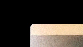 Dakotah Earley_Lincoln Park