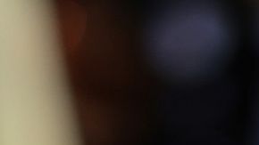 Elon Musk para la compra de Twitter hasta tener más detalles sobre los perfiles falsos