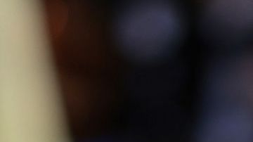 Elon Musk para la compra de Twitter hasta tener más detalles sobre los perfiles falsos