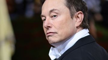 Elon Musk para la compra de Twitter hasta tener más detalles sobre los perfiles falsos