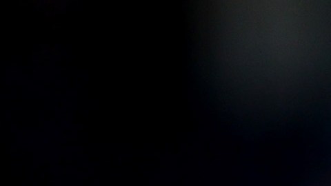 Yankees llegan a 8 victorias consecutivas y son el equipo más ganador de MLB