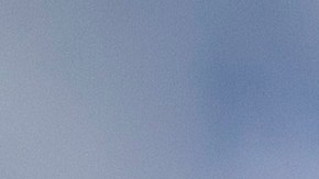 Trangéneros en Texas