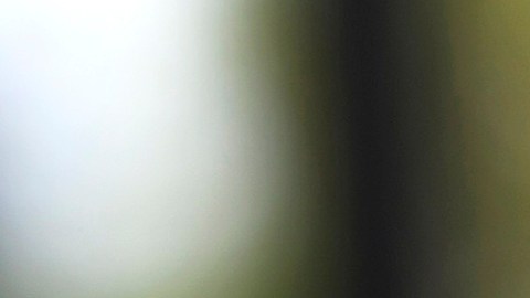 Police Officers Shot In North Philadelphia