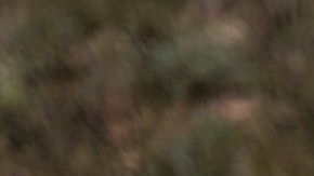 President Lopez Obrador Meets With LeBaron and Langford Families in Bavispe