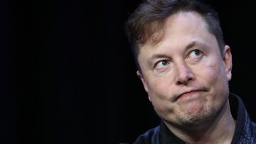 Elon Musk ha puesto una pausa en la compra de Twitter.