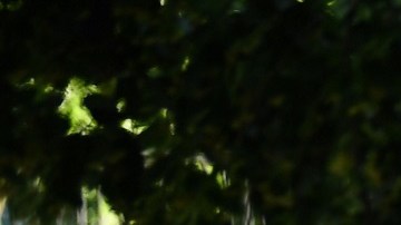 Trump quería balacear a manifestantes frente a la Casa Blanca, revela Mark Esper, exsecretario de Defensa