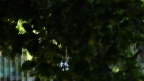 Trump quería balacear a manifestantes frente a la Casa Blanca, revela Mark Esper, exsecretario de Defensa