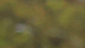 Una mujer resultó gravemente herida tras ser atropellada en Queens.