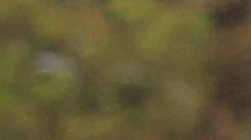 Una mujer resultó gravemente herida tras ser atropellada en Queens.