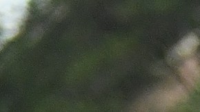 Abuso policial Missouri