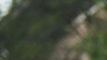 Abuso policial Missouri