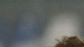 Morata, Cuadrado y Bonucci son buenos amigos al llevar varias temporadas jugando juntos en la Juventus de Turín.