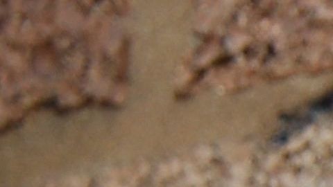 Investigación Florida