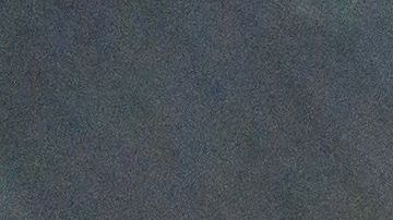 Rata muerta en NYC/Archivo.