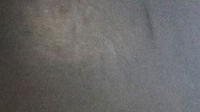 El oso ingresó a una casa de Wisconsin.