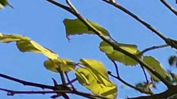 En esta casa murió Claude Monet