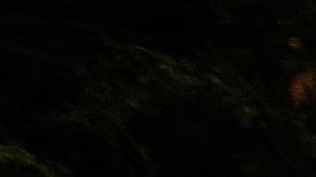 Manifestantes mostraron pancartas e hicieron cánticos a favor del aborto.