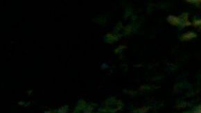 Buscan mejorar la recolección de basura en Nueva York.