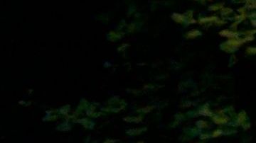 Buscan mejorar la recolección de basura en Nueva York.