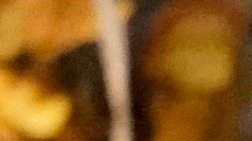 Dmitri Murátov, periodista ruso y Premio Nobel de la Paz.