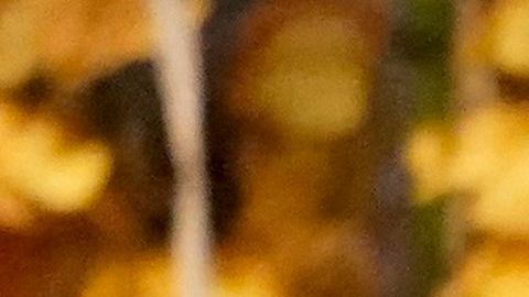 Dmitri Murátov, periodista ruso y Premio Nobel de la Paz.