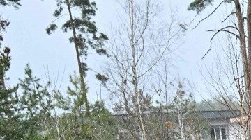 La crisis de suministros en Ucrania tiene un impacto a nivel mundial.