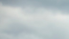 Madison Cawthorn busca la reelección para la Cámara de Representantes.