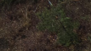 Tropas rusas atacan objetivos en Ucrania con drones UAV Orlan-10.