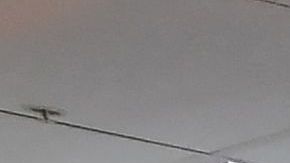 Inflacion costo alimentos