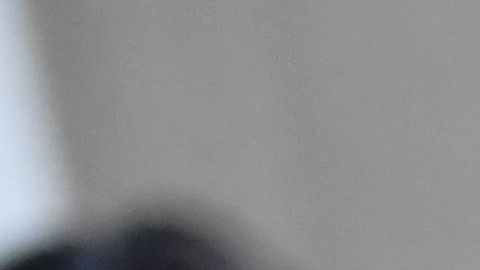Eric Adams proclamó en su espalda: "End Gun Violence" (Fin a la violencia armada).
