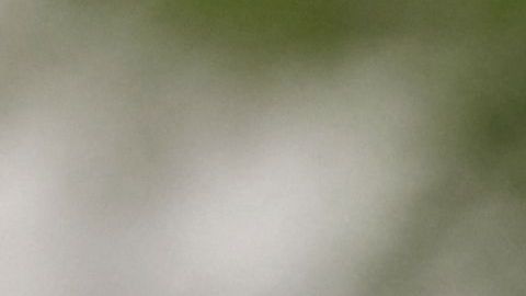 Vladimir Putin arremetió contra los políticos de occidente.