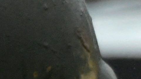 Ecuador motin prision