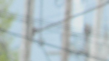 Multiple People Injured After Mass Shooting At Buffalo Food Market