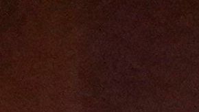 La actriz Amber Heard y Johnny Depp retomaron el juicio el pasado 16 de mayo.