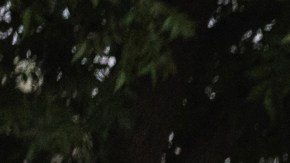 Mass Shooting At Elementary School In Uvalde, Texas Leaves At Least 19 Dead