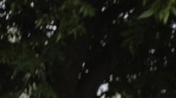 Mass Shooting At Elementary School In Uvalde, Texas Leaves At Least 19 Dead