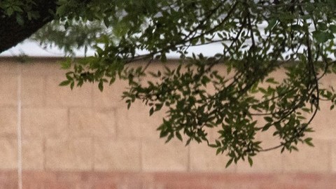 Policías de varias corporaciones acudieron a atender la alerta por tiroteo en Texas.