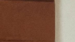 La actriz Kate Moss declarando en el juicio a favor de Johnny Depp.