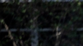 El tiroteo en Uvalde, Texas, dejó a 21 personas muertas, 19 de ellos niños.