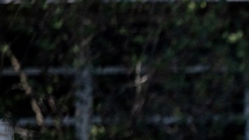 El tiroteo en Uvalde, Texas, dejó a 21 personas muertas, 19 de ellos niños.