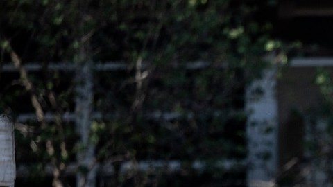 El tiroteo en Uvalde, Texas, dejó a 21 personas muertas, 19 de ellos niños.
