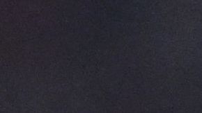 Carlo Ancelotti celebra con la afición la que es su cuarta Copa de Europa como DT.