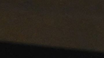 Zinédine Zidane y Véronique Fernandez posan por primera vez con su nieta